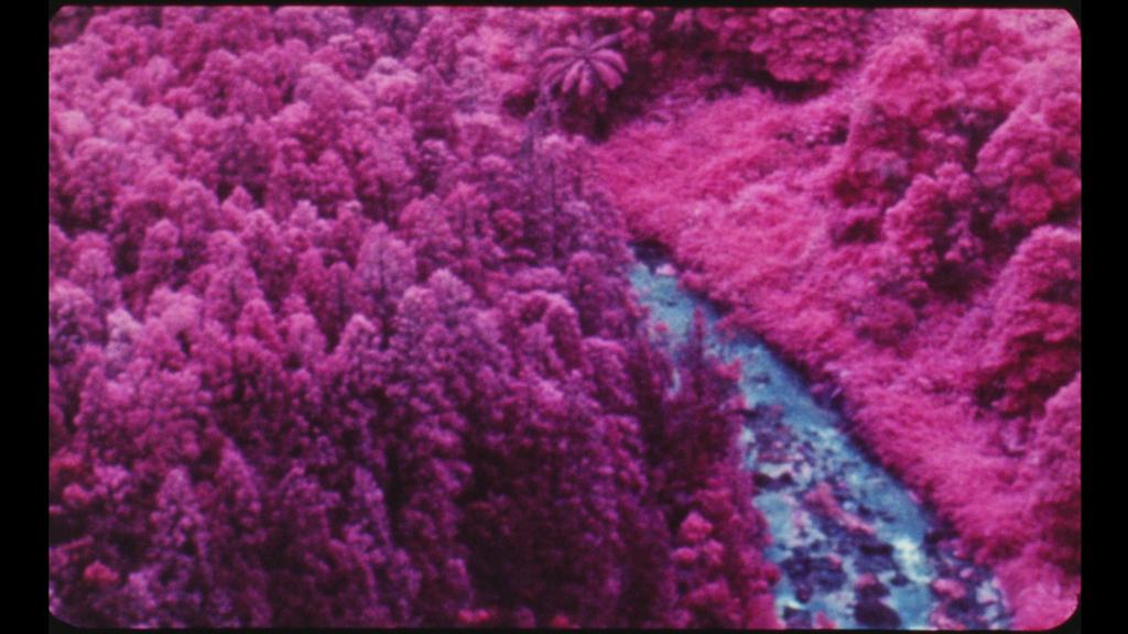 Vulcão: O Que Sonha um Lago? Vulcão: O Que Sonha um Lago?