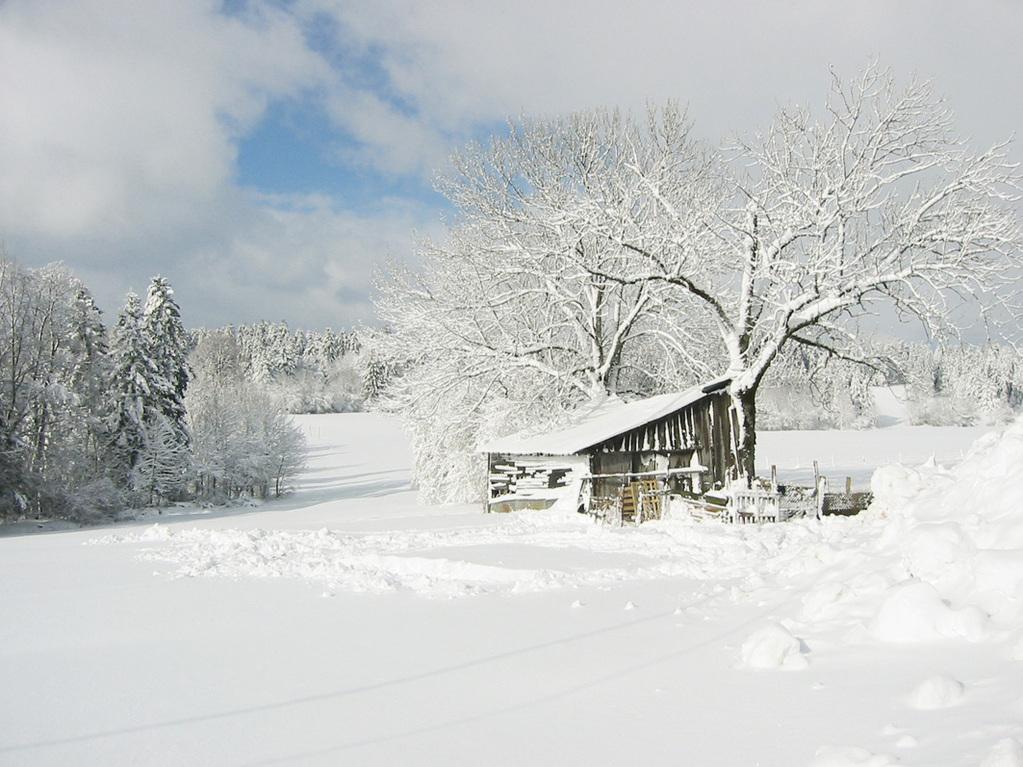 En miettes En miettes