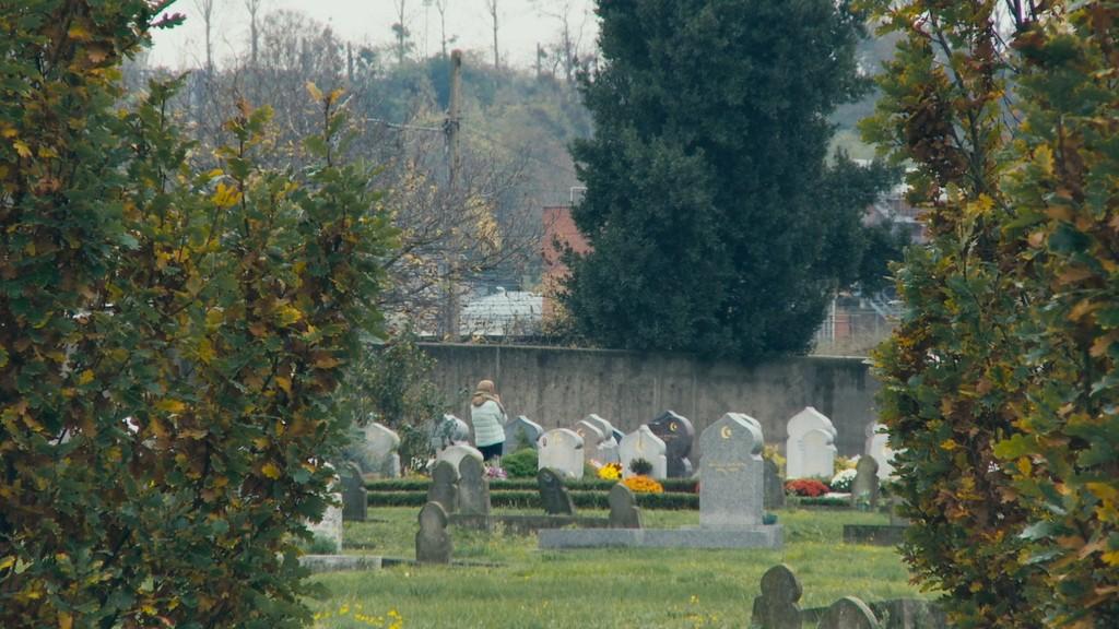 Terre d'ombres Terre d'ombres