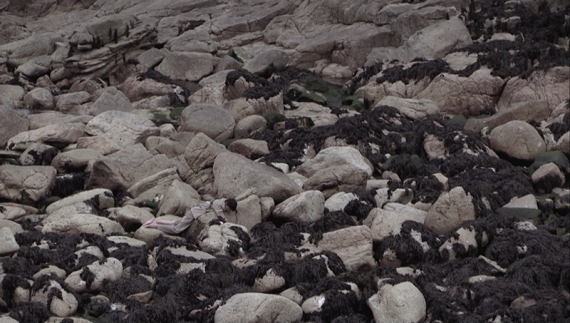 A Girl From Ouessant A Girl From Ouessant