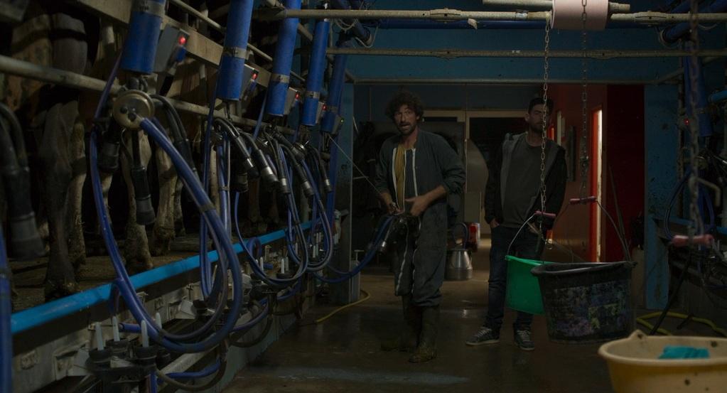 The Runaway The Runaway