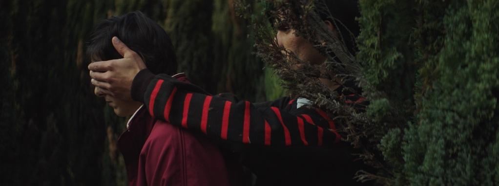 Mosc&uacute; - Festival Internacional de Cine - 2021