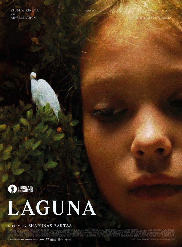 Laguna - International Poster Laguna - International Poster