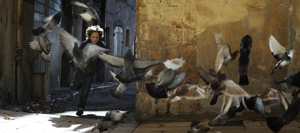 International Film Festival Rotterdam - 2017