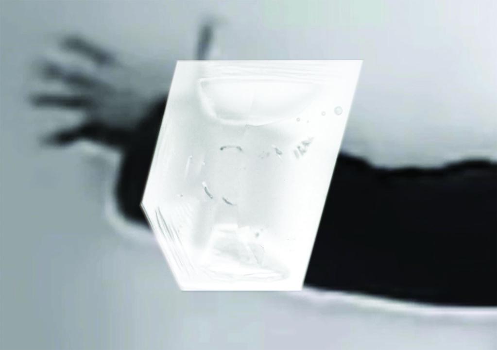 Corps Samples Corps Samples