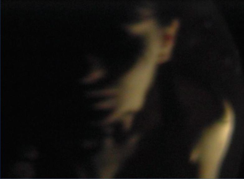 Festival del nuevo cine de Montreal - 2009