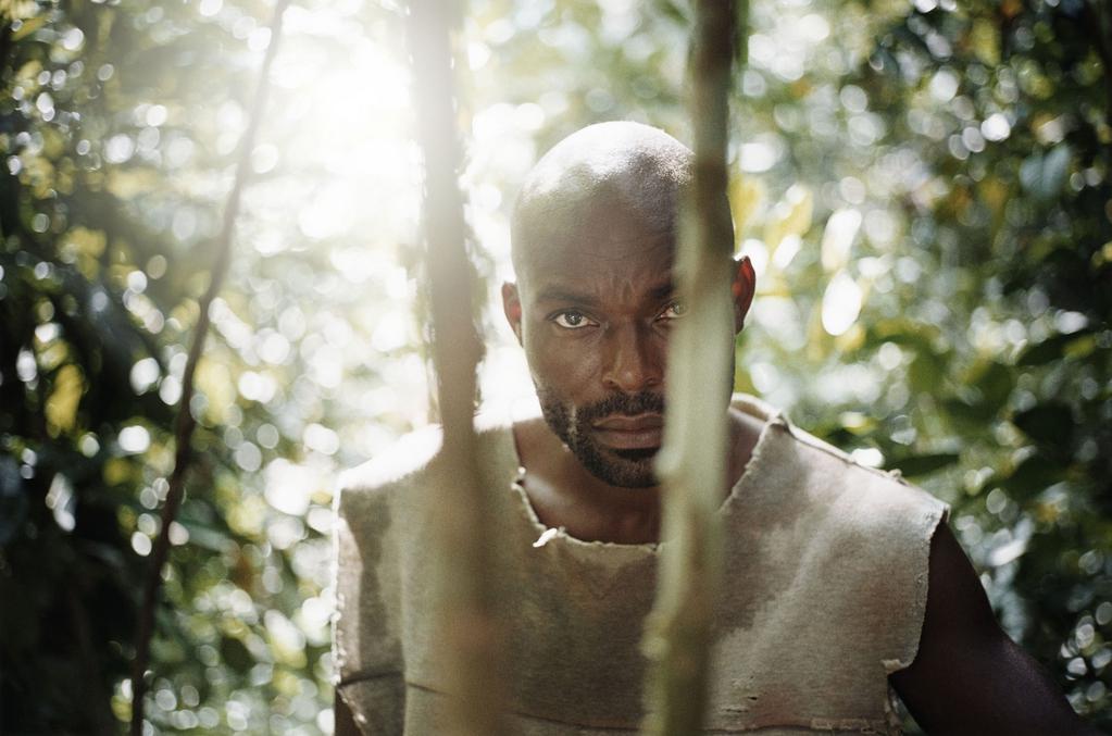 Festival de Cine Franc&eacute;s de Richmond - 2010 - &copy; Patrick Swirc