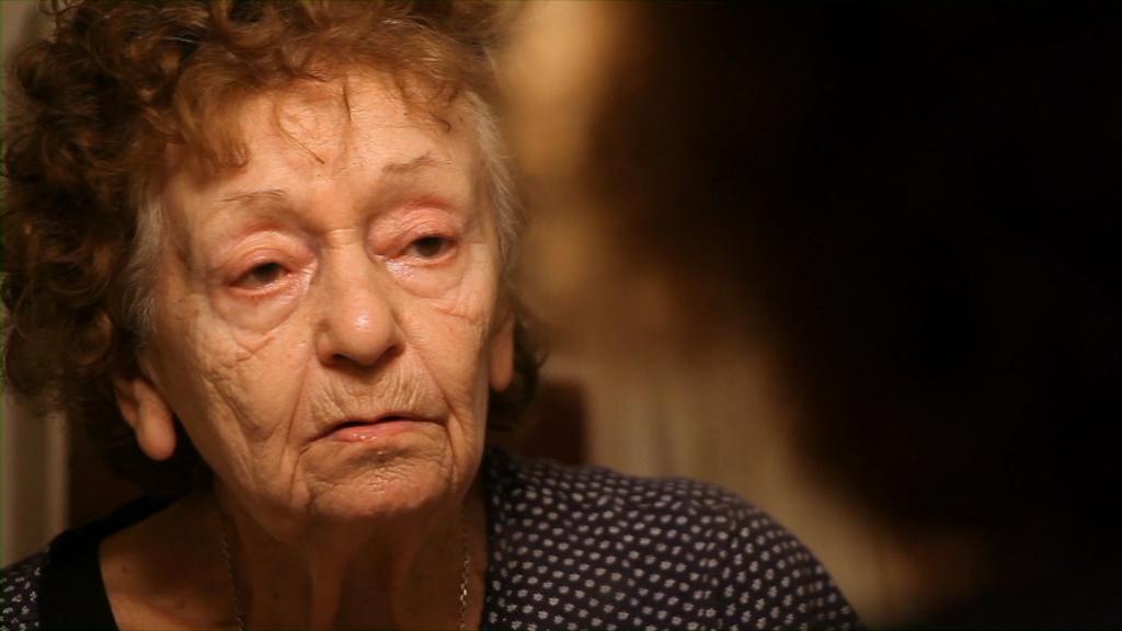 Primavera francesa en Ukrania - 2015