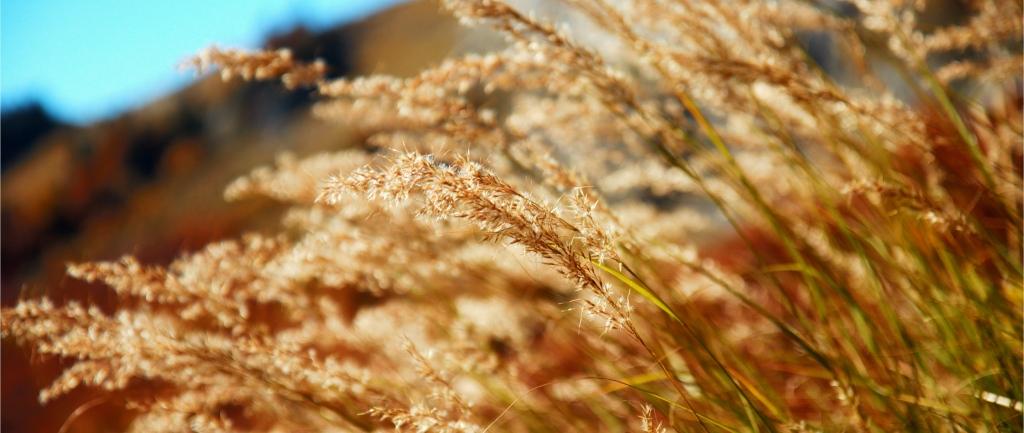 Un chalet au pied des Fiz Un chalet au pied des Fiz