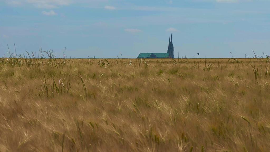 Olivier Braillon Olivier Braillon