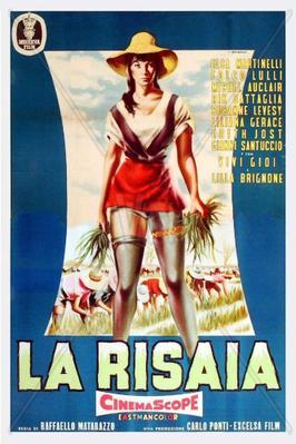 La Risaia - Italy La Risaia - Italy