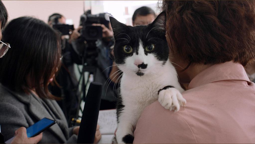 La Mécanique des choses La Mécanique des choses