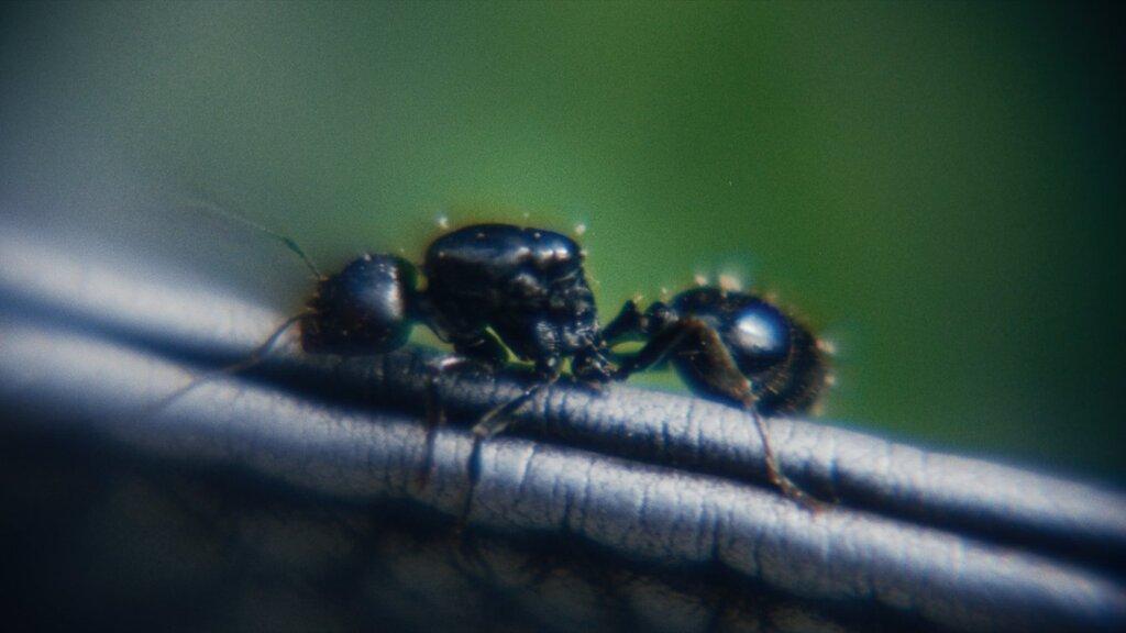 Because of (U) Because of (U)