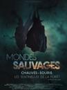 Mondes sauvages - Chauves-souris, les sentinelles de la for&ecirc;t - &copy; Galat&eacute;e Films - ARTE France - Incognita Distribution