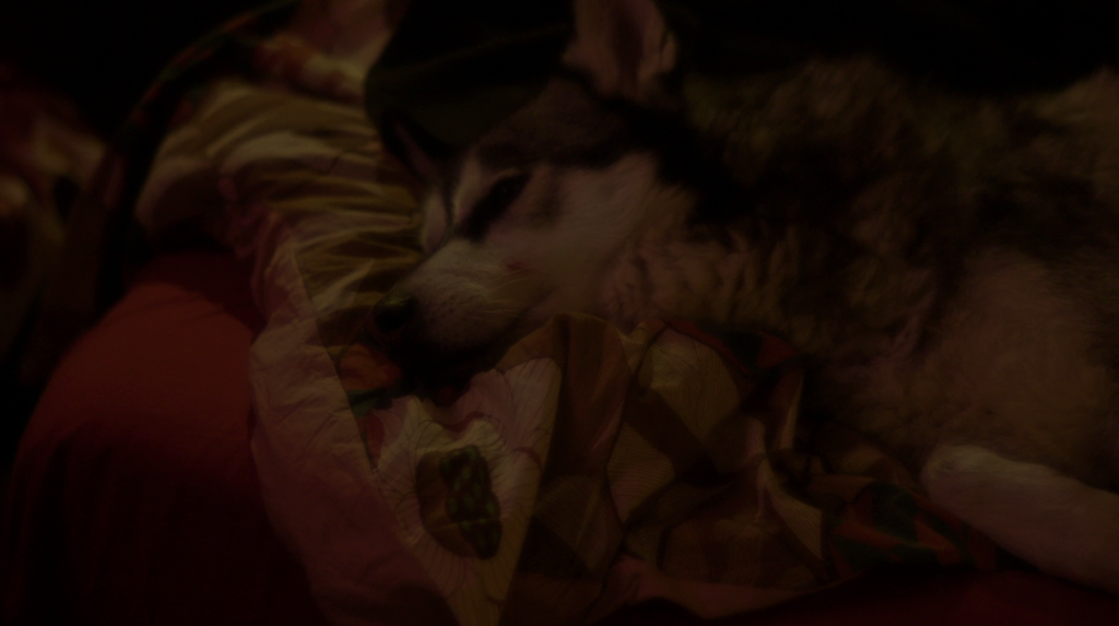 So I don’t live alone So I don’t live alone