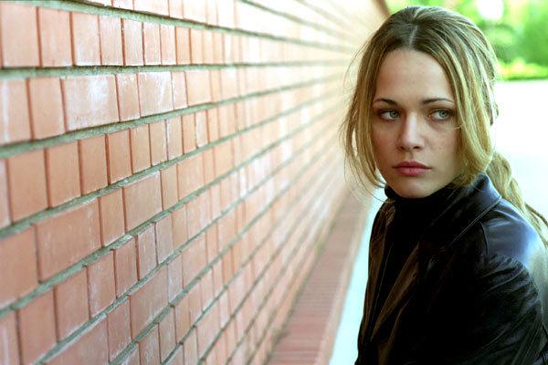 L'Ami de la famille L'Ami de la famille