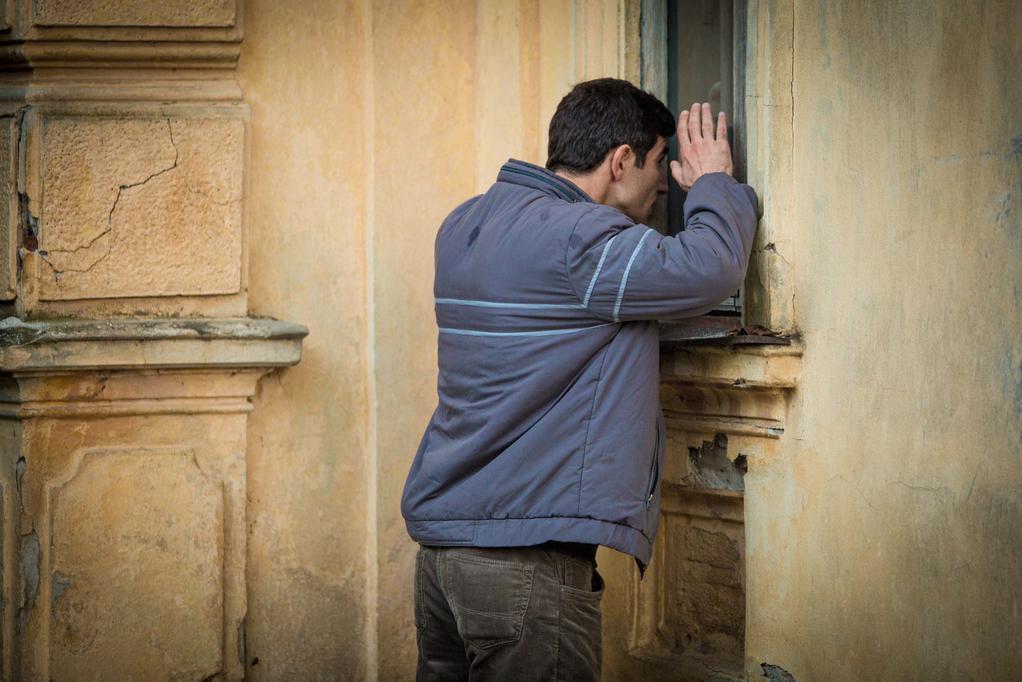 Viena (Vienal) -Festival Internacional de Cine - 2015