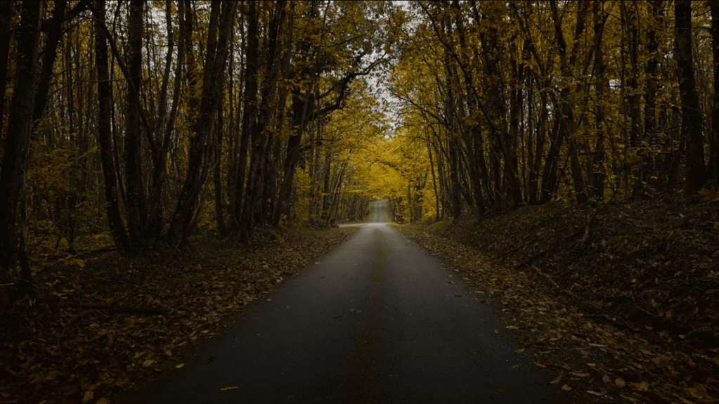 Distant Home Distant Home