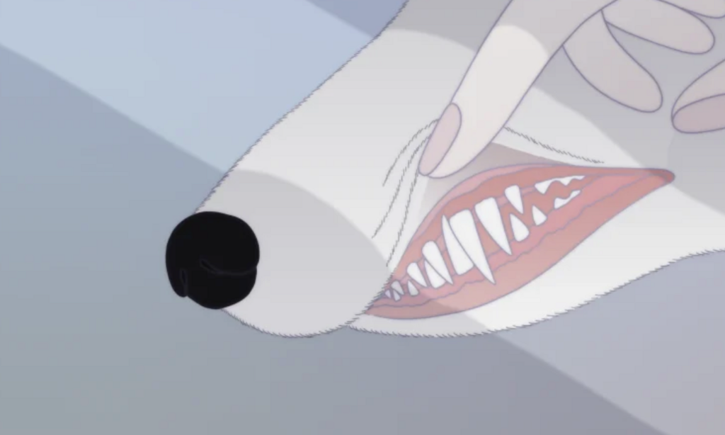 Miyu Distribution Miyu Distribution