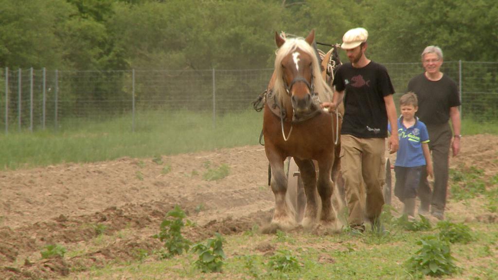 Qu'est-ce qu'on attend ?