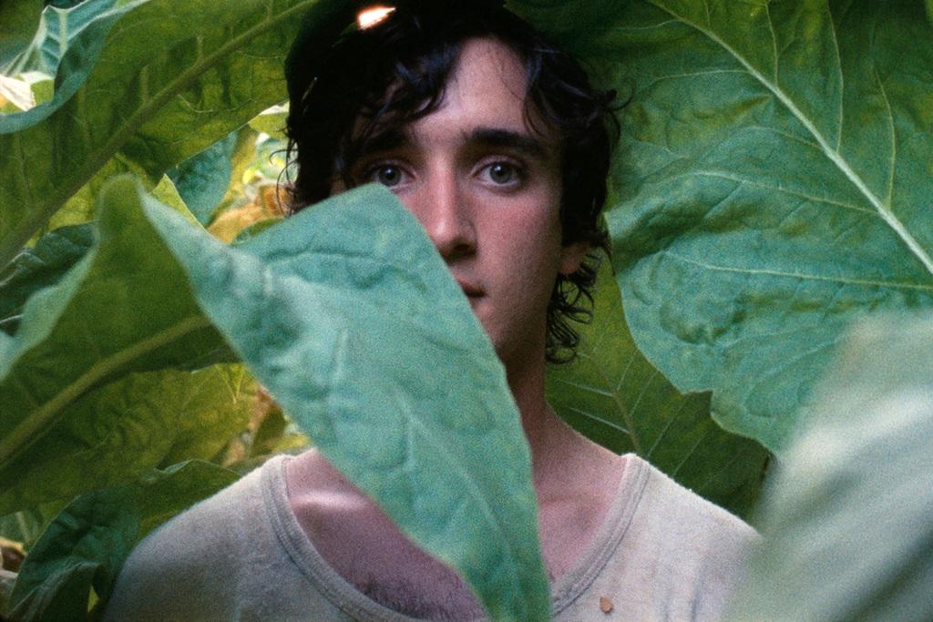 Festival de Cine de Sof&iacute;a  - 2019 - &copy; Tempesta