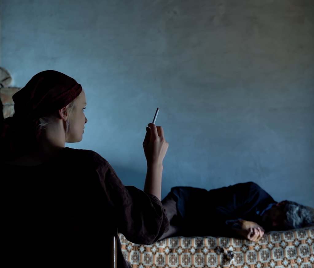 The Mercy Tree The Mercy Tree