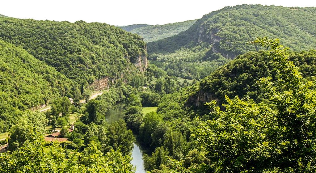 Néandertal, le mystère de la grotte de Bruniquel Néandertal, le mystère de la grotte de Bruniquel