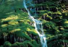 Genesis / グレート・ビギン Genesis / グレート・ビギン