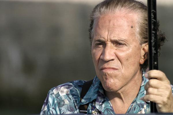 The Family Friend The Family Friend