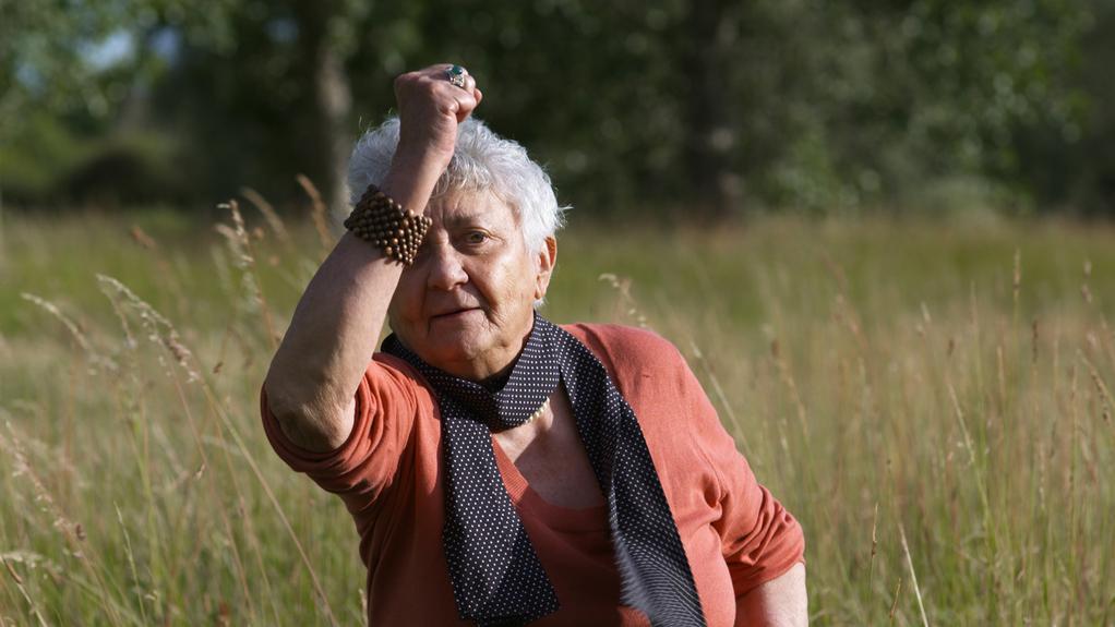 G&ouml;teborg Film Festival - 2013