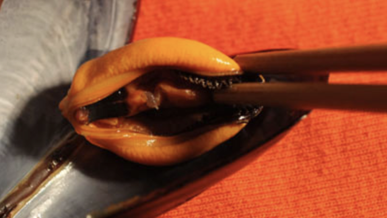 Jennifer and Tiffany Jennifer and Tiffany