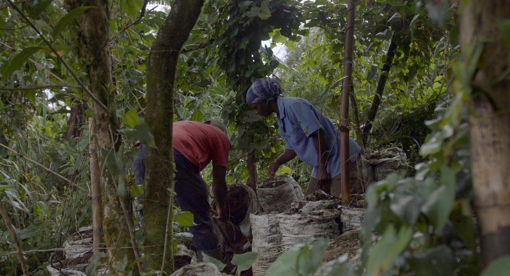 You Think the Earth Is a Dead Thing You Think the Earth Is a Dead Thing