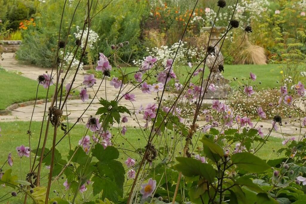 Les Jardins d'ici et d'ailleurs Les Jardins d'ici et d'ailleurs