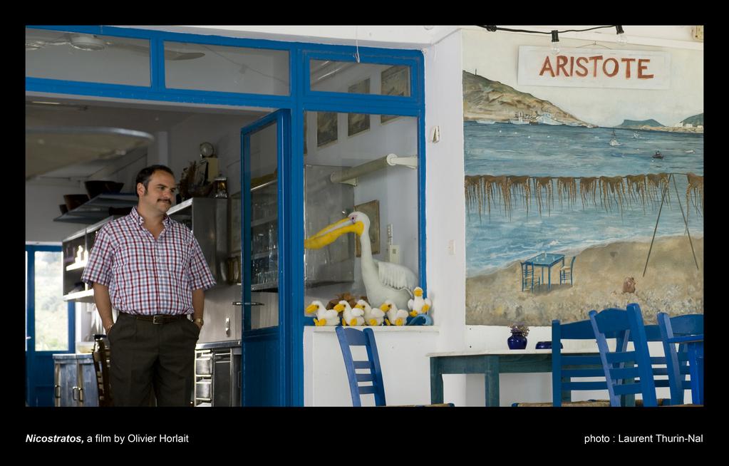 Nicostratos, le pélican Nicostratos, le pélican