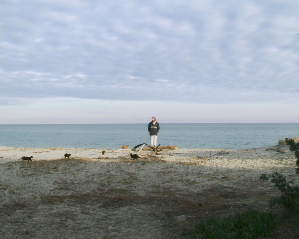 In the Open In the Open