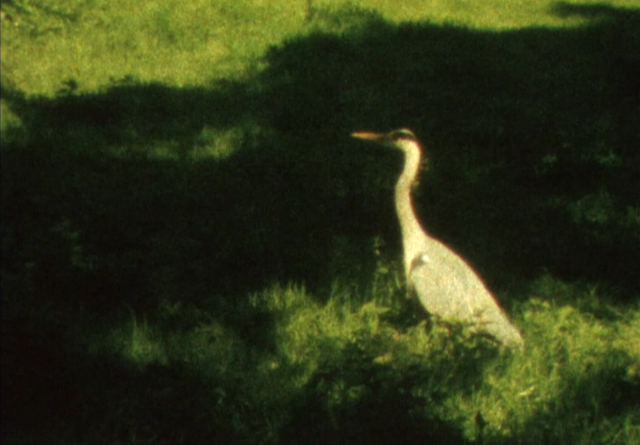 To Hide and to See To Hide and to See