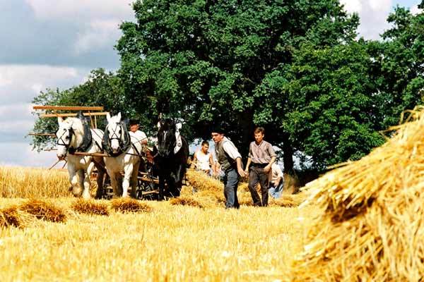 Karlovy Vary International Film Festival - 2006