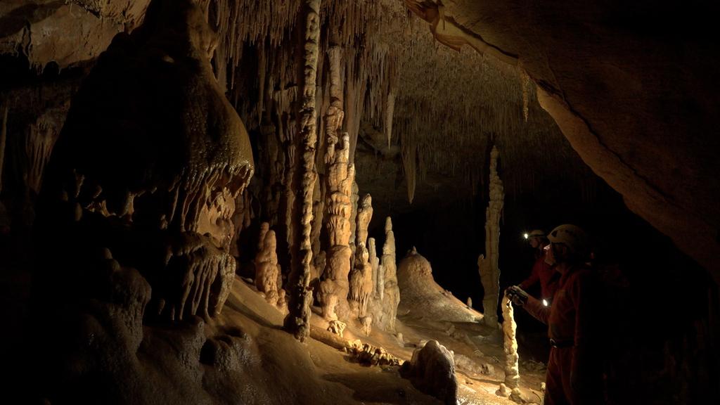 Neanderthal, the Mystery of the Bruniquel Cave Neanderthal, the Mystery of the Bruniquel Cave
