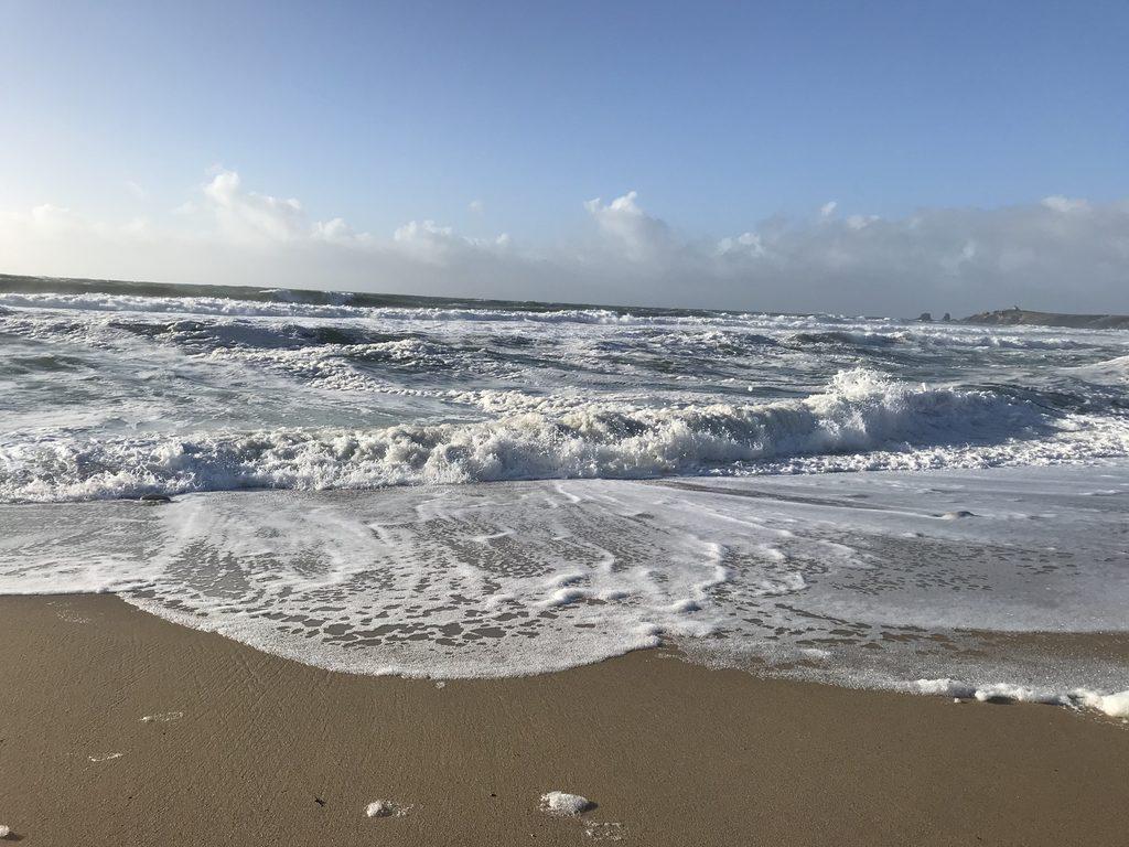 Première Vague Première Vague