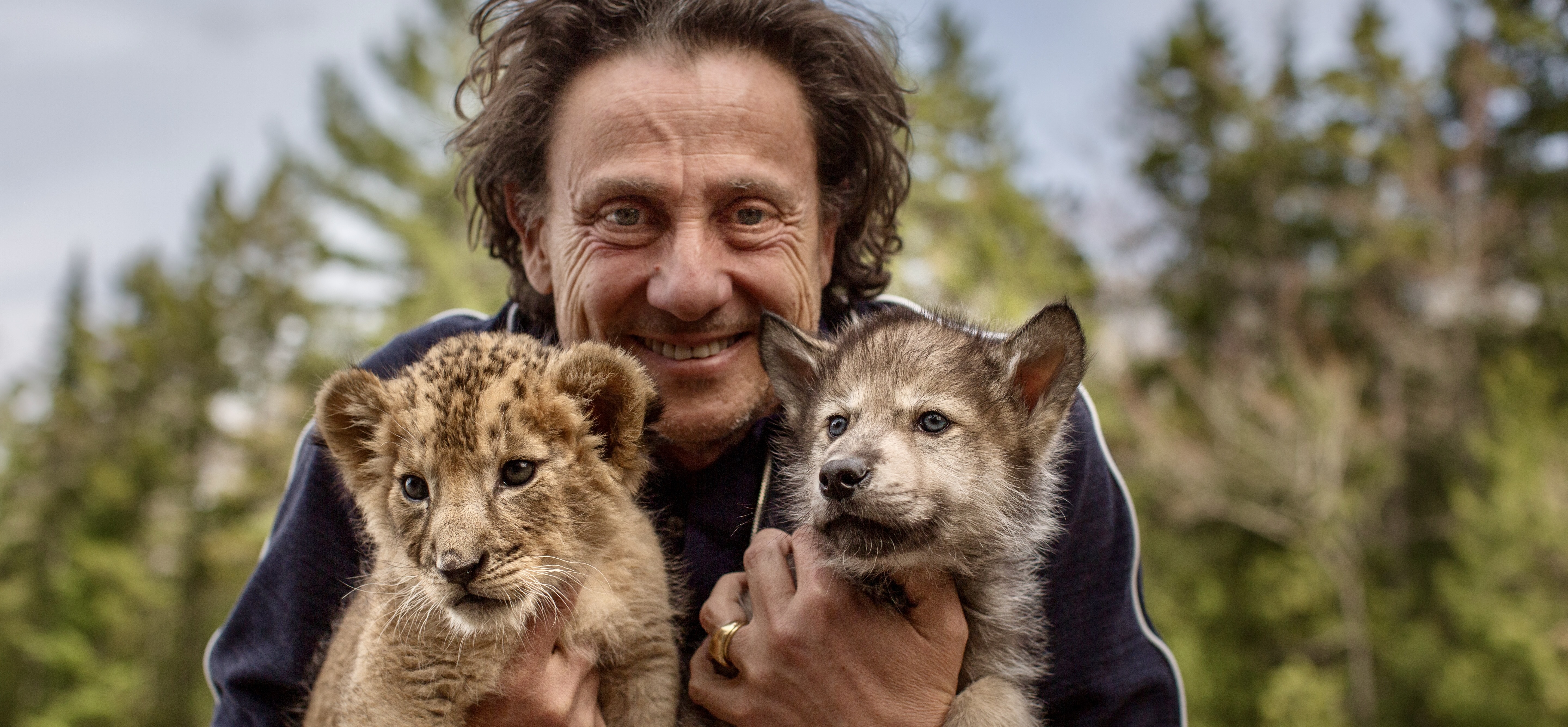 El lobo y el león encabeza el ranking italiano El lobo y el león encabeza el ranking italiano