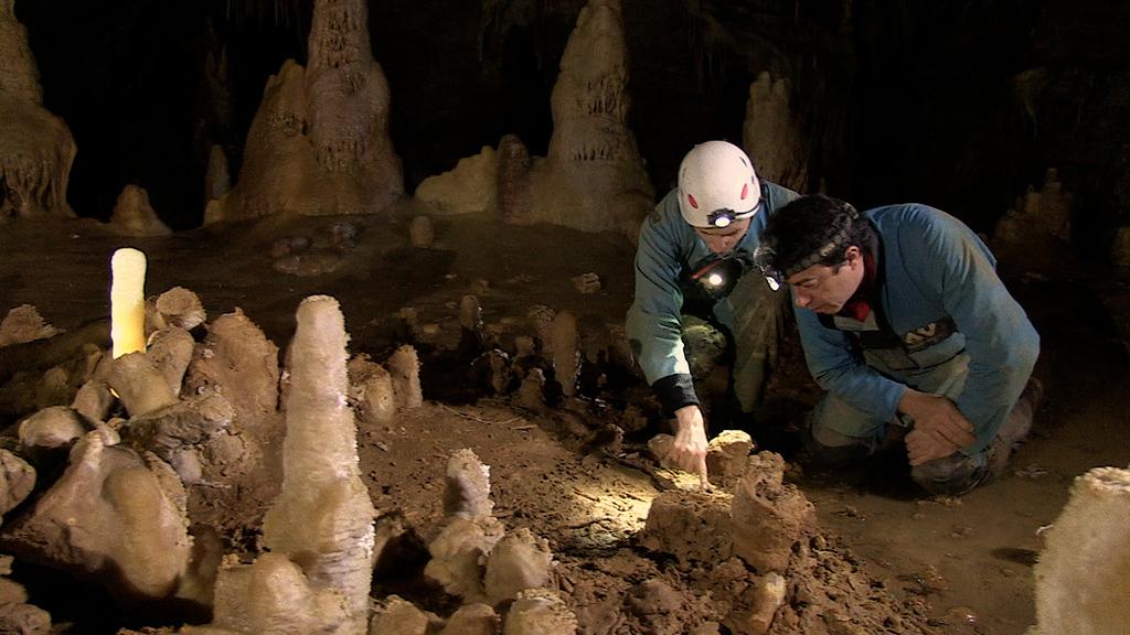 Néandertal, le mystère de la grotte de Bruniquel Néandertal, le mystère de la grotte de Bruniquel