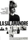 La Salamandra La Salamandra