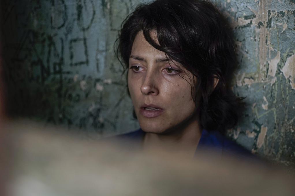 A Sort of Family A Sort of Family