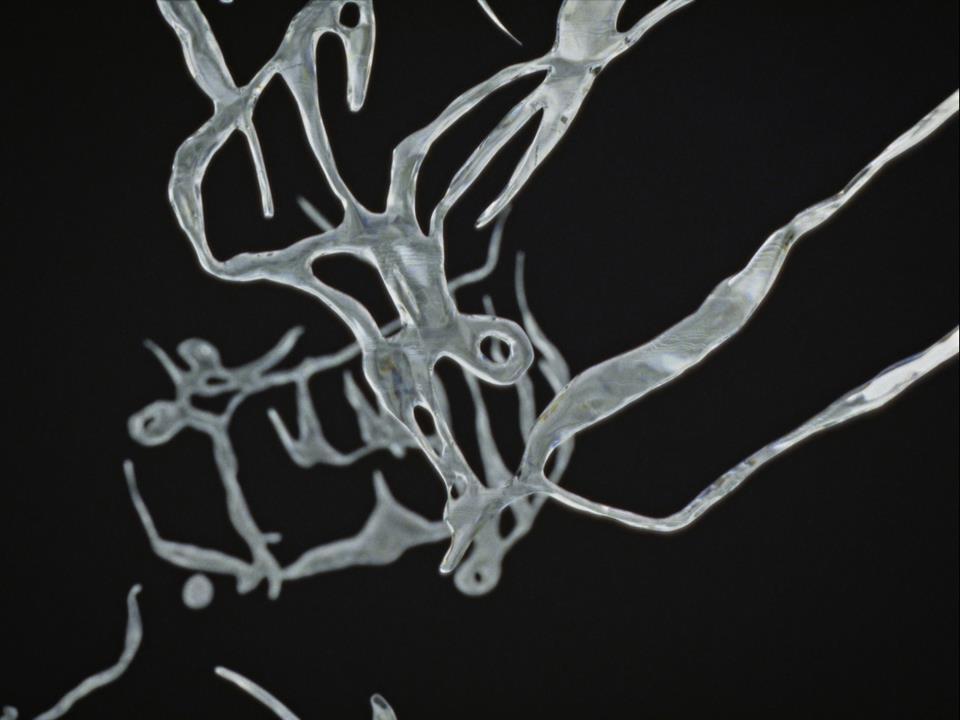 Le Disque de poussière Le Disque de poussière