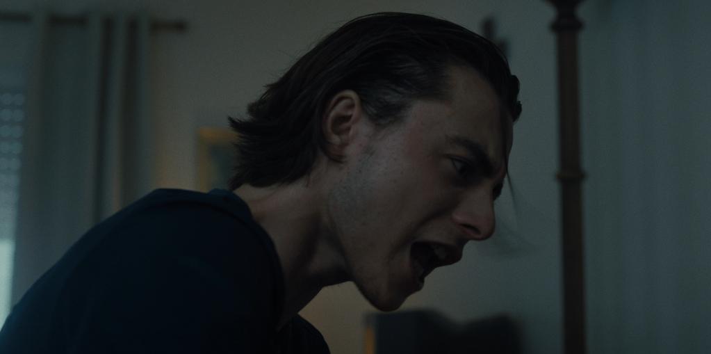 Transylvanie Transylvanie