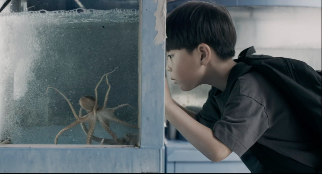 The Kid and the Octopus The Kid and the Octopus