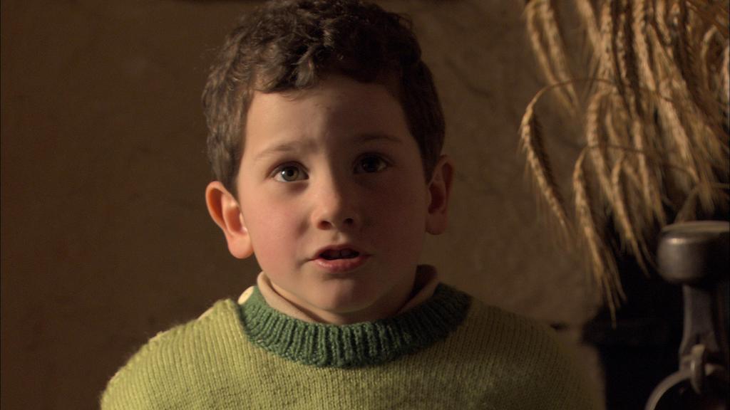 Panorama del Cine Franc&eacute;s de China - 2008