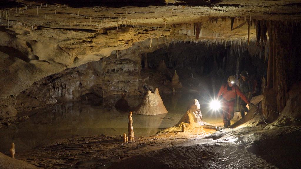 Neanderthal, the Mystery of the Bruniquel Cave Neanderthal, the Mystery of the Bruniquel Cave