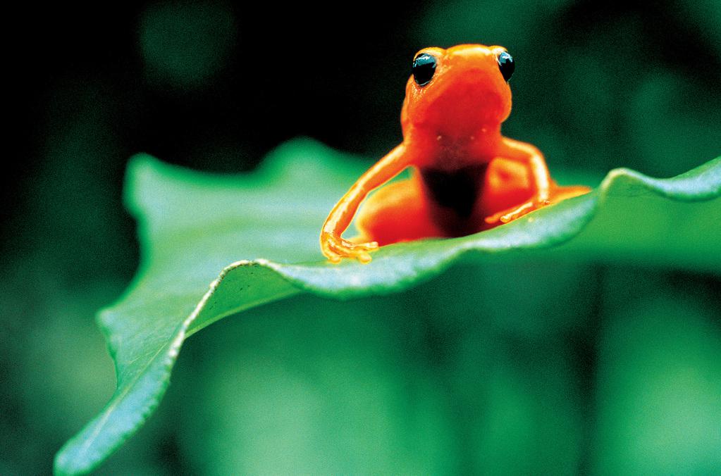 横浜　フランス映画祭 - 2005