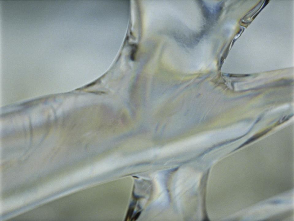 Le Disque de poussière Le Disque de poussière